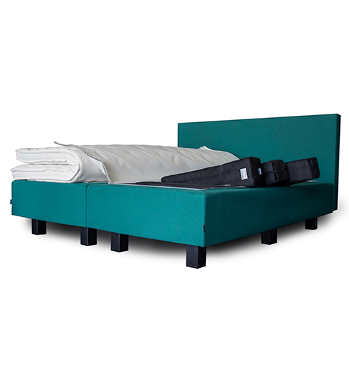 turquoise_cat